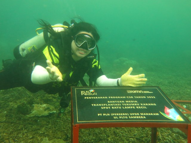 MISI LINGKUNGAN: Terumbu karang di Pangempang Muara Badak ini merupakan magnet bagi wisatawan yang menyukai dunia diving atau menyelam, dan PLN berkomitmen tidak hanya menyediakan energi listrik saja, tetapi juga memberikan manfaat lebih kepada masyarakat