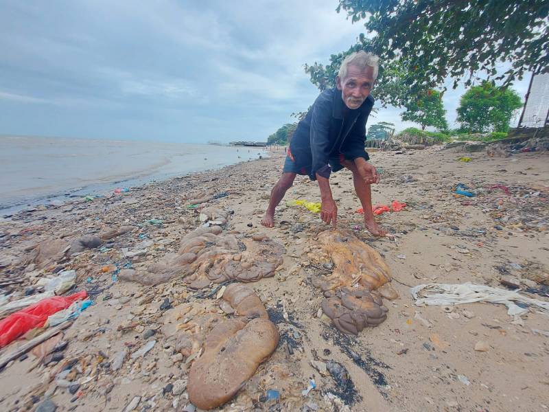 Sampah jeroan ditemukan berserakan di pantai belakang Bandara SAMS Sepinggan Balikpapan. Dinas Lingkungan Hidup Kota Balikpapan menyebut, organ dalam hewan kurban mestinya dikubur.