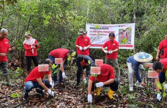 Telkomsel mendukung kelestarian ekosistem di Balai Taman Nasional (BTN) Kutai Kalimantan Timur bersama Direktorat Jenderal Konservasi Sumber Daya Alam dan Ekosistem (KSDAE) salah satunya melalui penanaman 20.000 bibit mangrove seluas 2 hektare di Bontang