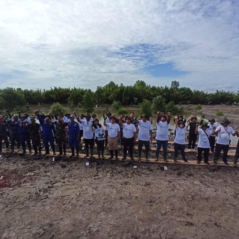 Melalui program IMPACT (Indika Mangrove Program In Action), Badan Restorasi Mangrove dan Gambut (BRGM) bekerjasama dengan PT Indika Energy, Tbk berusaha merestorasi mangrove di Desa Lori dan Desa Sungai Langir, Kecamatan Tana Grogot, Kabupaten Paser.