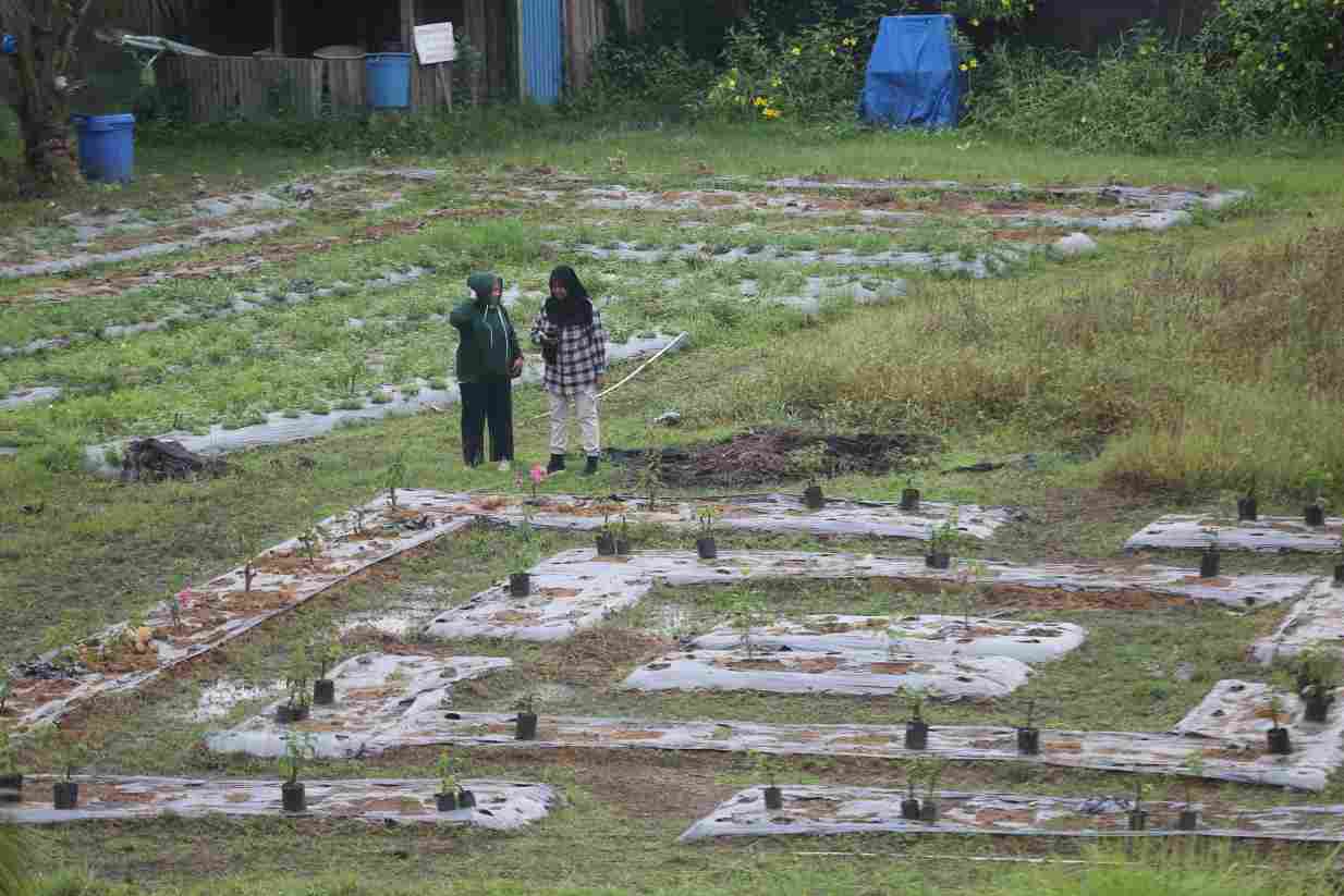 BERUBAH: Kondisi Pinang Mas Garden sudah tidak seindah saat awal dibuka yang penuh dengan bunga Celosia. Namun, diharapkan pergantian bunga tujuh rupa yang lebih populer, bisa kembali membangkitkan keindahan taman tersebut.