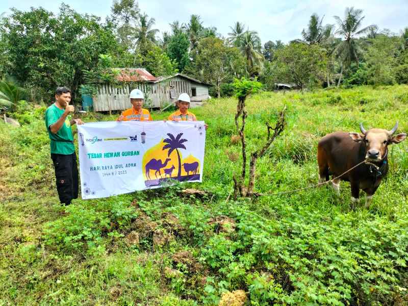 BERBAGI: Proses penyerahan hewan kurban untuk 24 desa dari tiga Kecamatan.