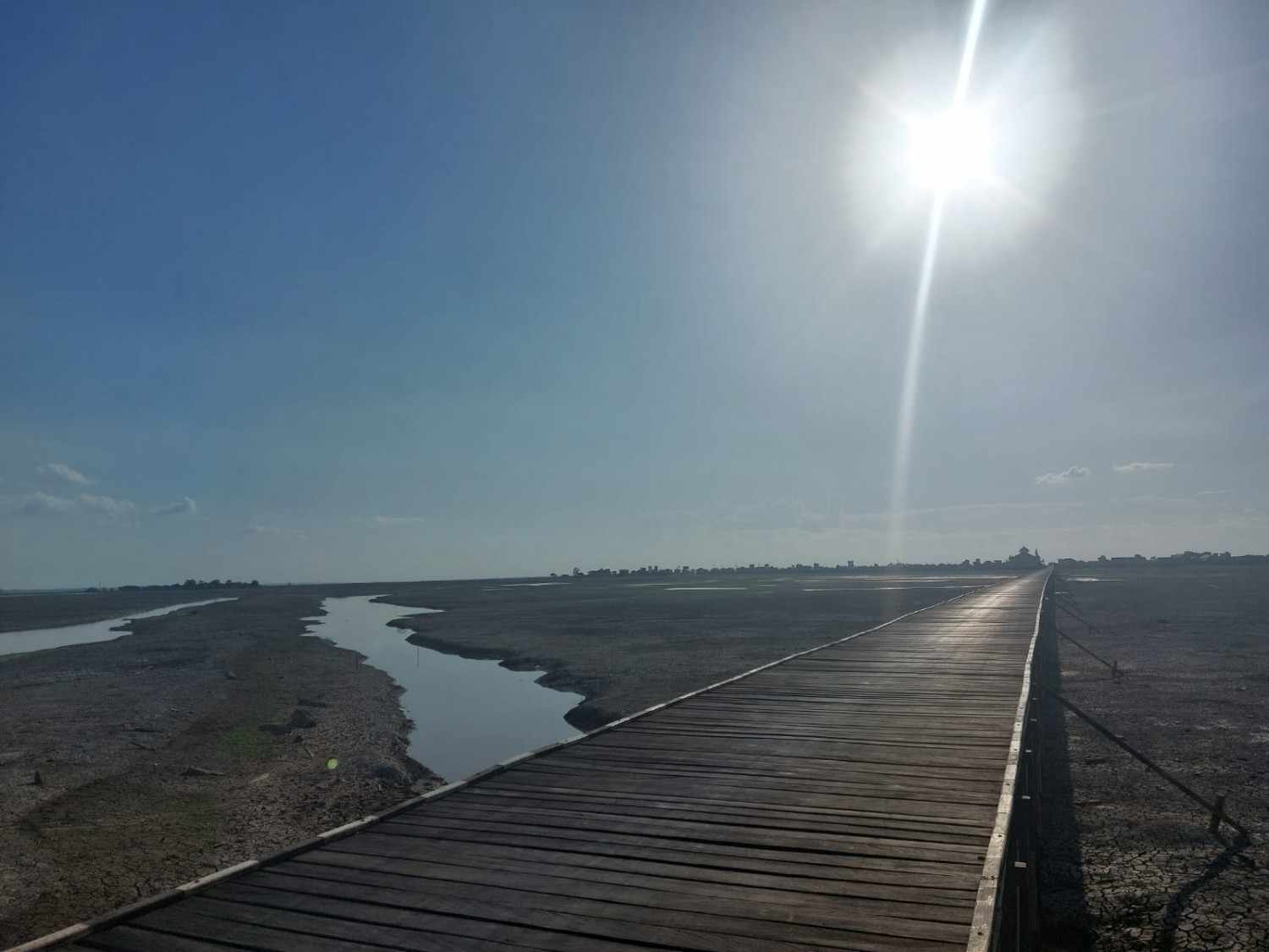 Penampakan mengeringnya Danau Melintang yang berada di tengah-tengah Desa Melintang, Kecamatan Muara Wis, Kukar (Elmo/Prokal.co)