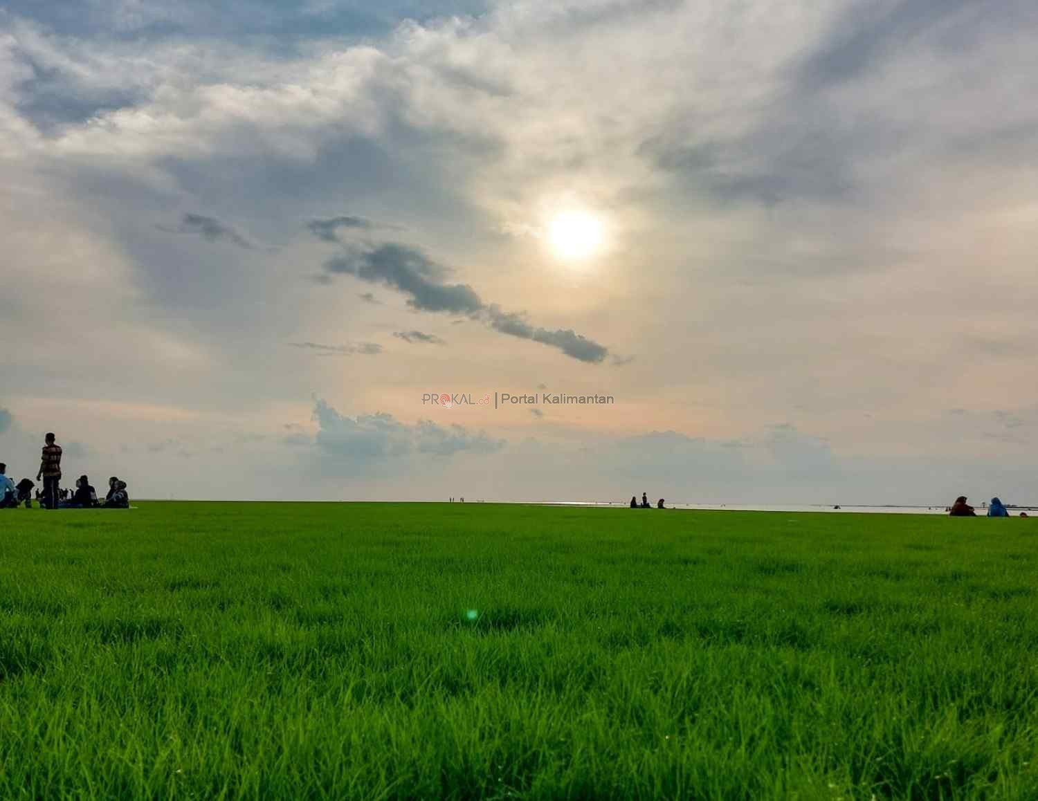Indahnya matahari terbenam di hamparan rumput hijau Danau Semayang yang mengering imbas kemarau panjang (Elmo/Prokal.co)