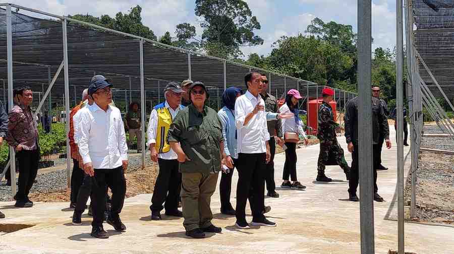 Presiden Jokowi meninjau Persemaian Mentawir pada Kamis (21/9). Selain Persemaian Mentawir, Presiden juga meninjau progres pembangunan Bendungan Sepaku Semoi dan melakukan ground breaking Hotel Nusantara. Erik