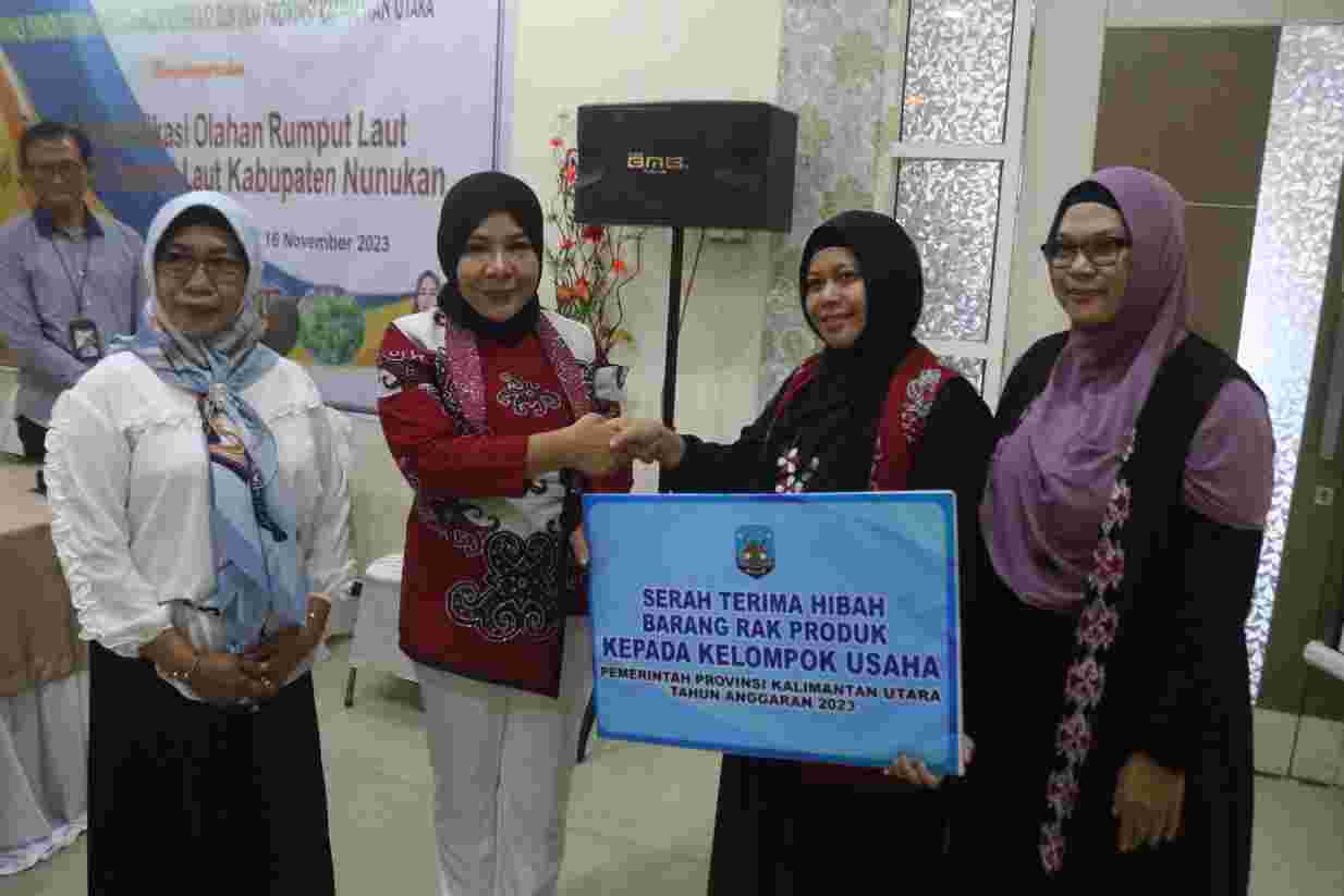 Ketua TP-PKK Kaltara, Hj. Rahmawati Zainal, S.H. saat menyerahkan bantuan hibah kepada pelaku UMKM di Nunukan.