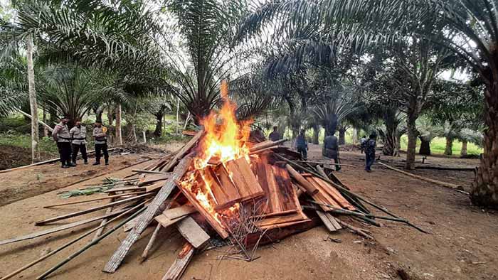 DIBAKAR: Aparat kepolisian membakar bangunan kayu yang diduga digunakan untuk arena sabung ayam di Nunukan.