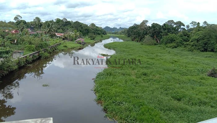 TERTUTUP TANAMAN: Kondisi Sungai Selor yang ada di kawasan Jalan Meranti dipenuhi dengan tanaman eceng gondok.
