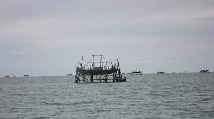 BANGUN BAGAN: Nelayan sangat membutuhkan kayu nibung untuk membangun bagan di tengah laut.