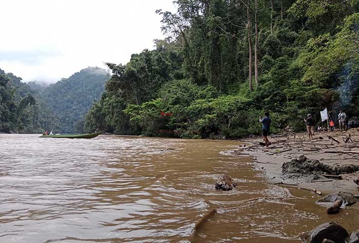 PERHUTANAN SOSIAL: Pemerintah akan melibatkan masyarakat desa dalam pengolahan hutan sosial di Kabupaten Bulungan.
