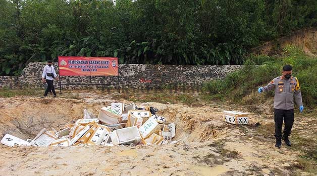 DITIMBUN: Sebanyak 80 boks ikan dan cumi-cumi tanpa dilengkapi dokumen dimusnahkan dengan cara ditimbun dalam tanah, Senin (13/2).