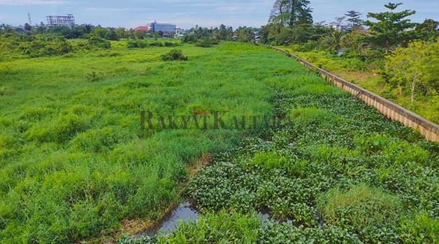 BAKAL DIBERSIHKAN: Sungai Selor yang dipenuhi tanaman eceng gondok tahun ini direncanakan akan dibersihkan sepanjang 5 kilometer.