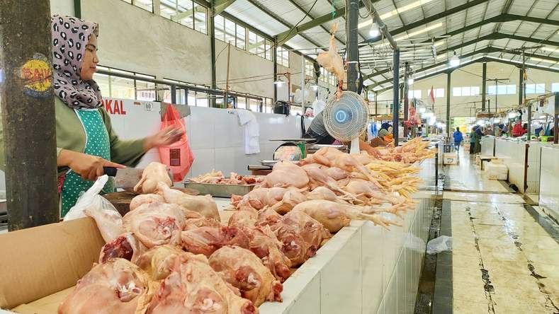 BANYAK DICARI: Harga ayam di pasar induk mengalami kenaikan hingga Rp 53 ribu per kilogramnya.