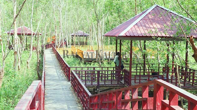 RAMPUNG DIBANGUN: Lokasi wisata mangrove di Desa Teras Nawang yang menelan biaya Rp 800 juta masih membutuhkan fasilitas pendukung.