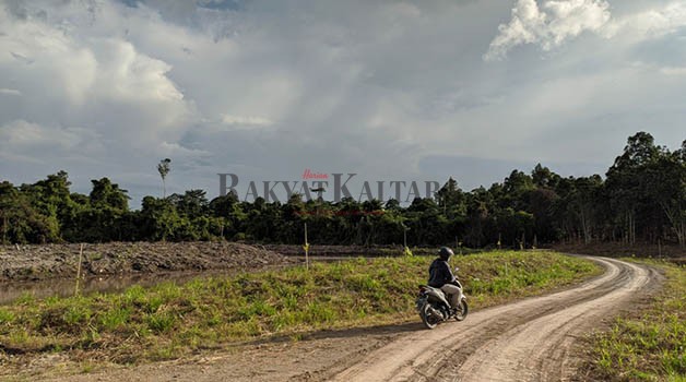 HUTAN: Pemprov Kaltara berupaya melakukan RHL untuk menjaga paru-paru dunia dapat menopang dan sebagai penyangga kehidupan.