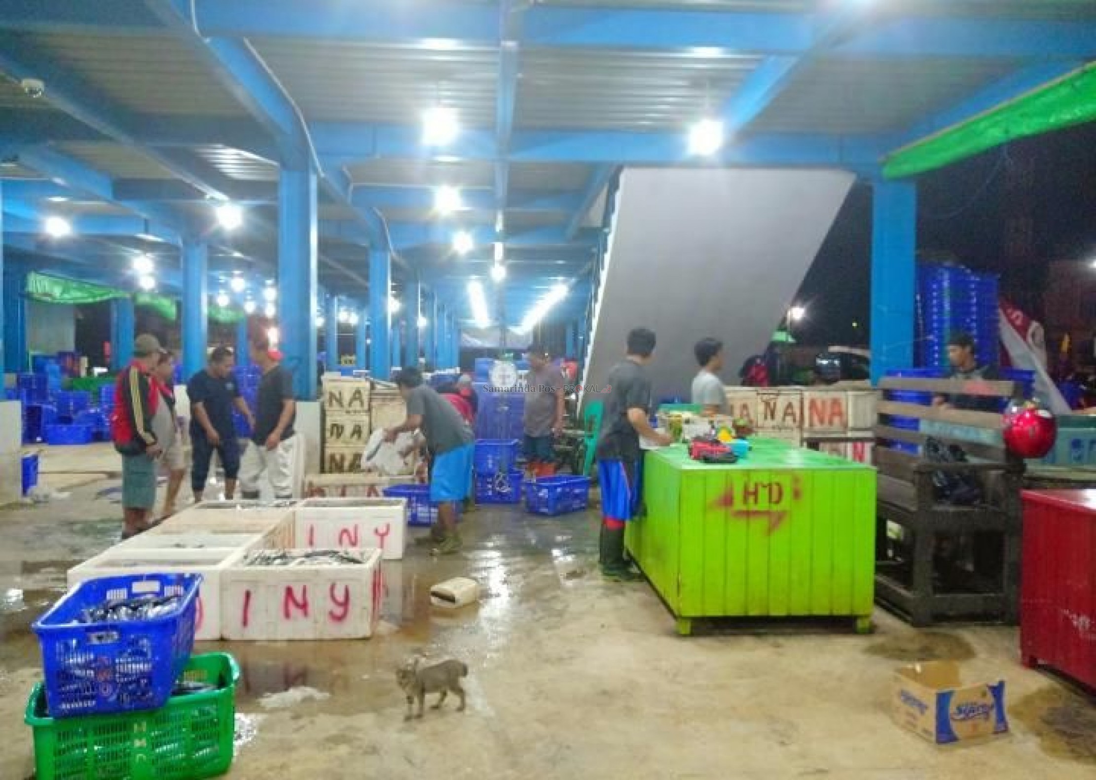 Samarinda belum bisa memenuhi sendiri kebutuhan ikan.