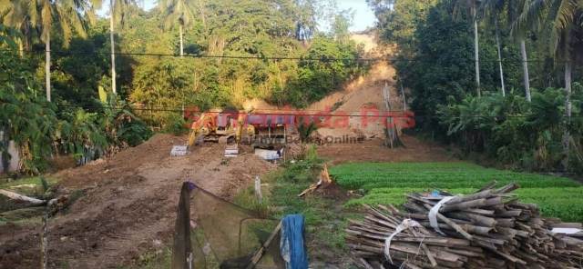 Aktivitas penambangan batu bara di Lempake.