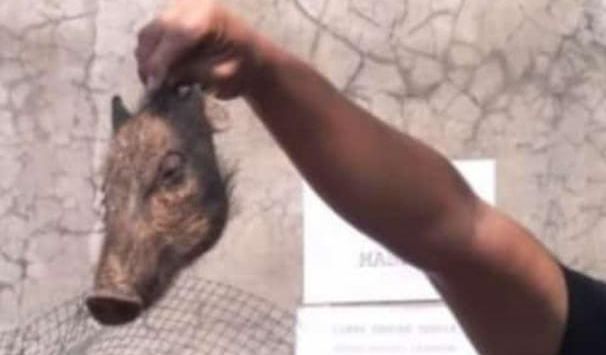 Babi ngepet di Sawangan Depok akhirnya dibunuh.