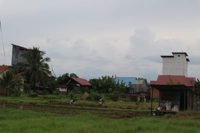 POTENSI: Sarang burung walet salah satu sektor penyumbang PAD yang cukup besar di Kabupaten Berau.