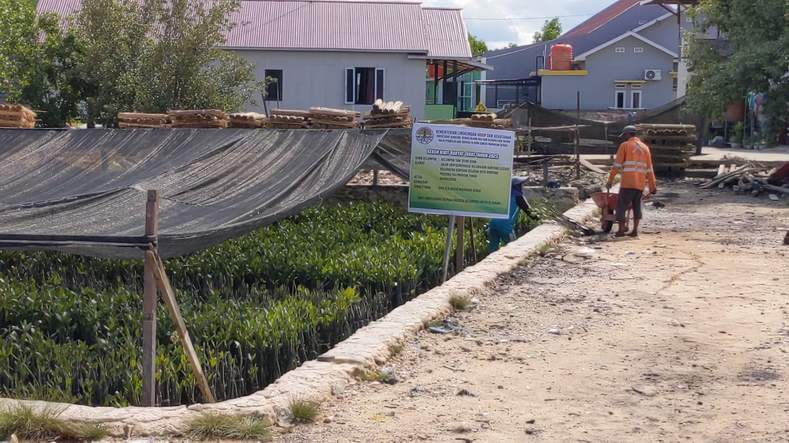 LOKASI: Kawasan mangrove di Kelurahan Tanjung Laut Indah sebagai habitat baru buaya Riska yang disiapkan pemerintah.