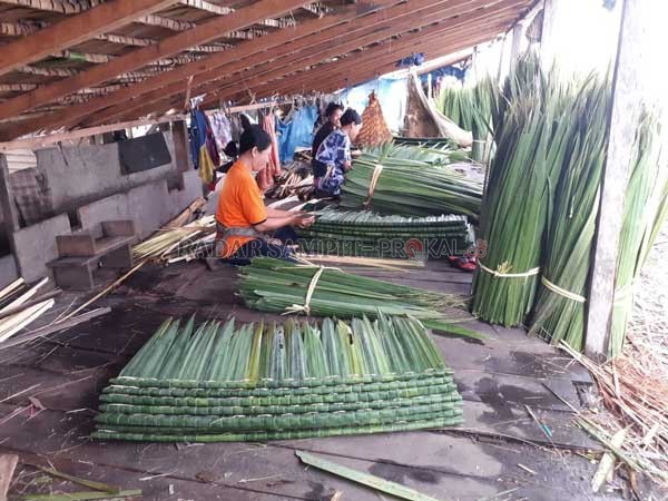 PENGRAJIN ATAP NIPAH: Para Pengrajin Atap Nipah di Kumai Hulu, Kecamatan Kumai, Kabupaten Kobar, ditengah modernisasi mereka masih bertahan untuk menyambung hidup keluarganya, Jumat (24/1).(KOKO SULISTYO/RADAR PANGKALAN BUN)