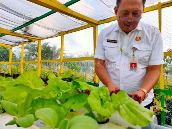 TINJAU: Kepala Dinas Pertanian (Distan) Kotim I Made Dikantara, saat meninjau tanaman hidroponik yang ada di lingkungan kantornya, balum lama ini.(YUNI/RADAR SAMPIT)