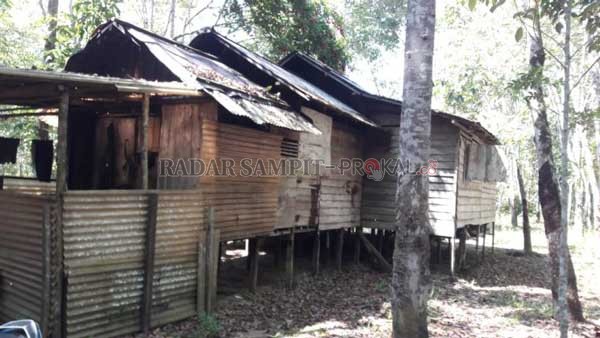 SAKSI BISU: Di pondok inilah Rb menghabisi nyawa bayi yang merupakan anak sekaligus cucunya.(IST/RADAR SAMPIT)