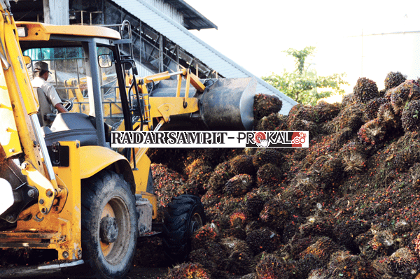 ILUSTRASI.(RADAR SAMPIT)