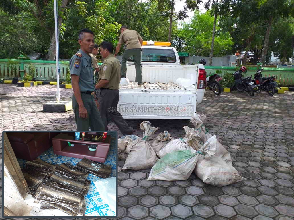 KULIT ULAR ILEGAL: Tim SPORC Gakkum Kementerian LHK Provinsi Kalteng berhasil mengamakan ratusan lembar kulit ular ilegal dan belasan ular hidup dari tangan pelaku usaha pengulitan ular di Sungai Pakit, Kecamatan Pangkalan Banteng, Kobar, Minggu (8/3).(GA