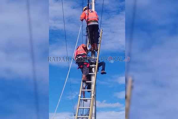 EVAKUASI: Petugas PLN berusaha menurunkan jenazah Sigit Sutrisno yang tewas karena tersengat listrik, Minggu (11/4). Tubuhnya sempat tergantung sekitar satu jam.( DODI/RADAR SAMPIT)