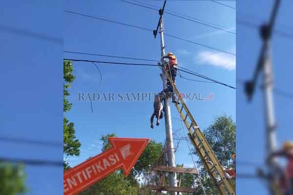 KESETRUM LISTRIK : Jenazah Sigit Sutrisno saat dievakuasi di lokasi kejadian. Kepolisian memastikan almarhum meninggal dunia karena kesetrum aliran listrik.(DODI/RADAR PALANGKA)