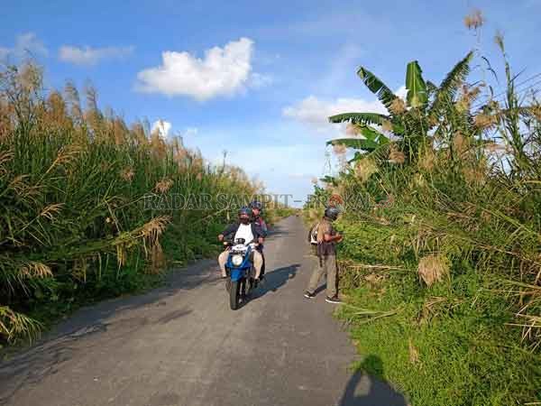 TAK TERAWAT: Kondisi terkini ruas jalan menuju Pelabuhan Teluk Segintung yang hampir setengah badan jalannya sudah dipenuhi oleh tumbuhan liar. (ALDI SETIAWAN/RADAR SAMPIT)