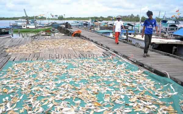 PEMKAB SIAP BELI: Proses pengeringan ikan hasil tangkapan nelayan di wilayah pesisir Sukamara. Pemerintah Kabupaten (Pemkab) Sukamara meminta kepada para nelayan di Kecamatan Pantai Lunci maupun Jelai mengolah ikan hasil tangkapan menjadi ikan kering. Ika