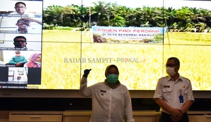 KETAHANAN PANGAN : Bupati Kobar Hj Nurhidayah bersama Kadis TPHP Kobar Kamaludin menyaksikan panen padi di Desa Berambai Makmur, Kecamatan Pangkalan Banteng melalui video conference, Rabu (3/6). (PROKOM/RADAR PANGKALAN BUN)