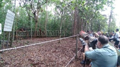 PARIWISATA : Pemerintah diharapkan tidak tergesa-gesa membuka destinasi wisata tanpa melibatkan para pelaku wisata. Karena keselamatan masyarakat tetap menjadi yang utama. (SLAMET HARMOKO/RADAR PANGKALAN BUN)