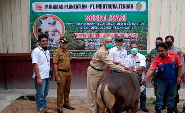 KEPEDULIAN PERUSAHAAN : Perwakilan pimpinan dan jajaran manajemen PT Indotruba Tengah saat penyerahan sapi kurban secara simbolis di lokasi kantor perusahaan tersebut, Selasa (28/7). Tahun ini jumlah hewan kurban yang dibagikan mengalami peningkatan.(SLAM