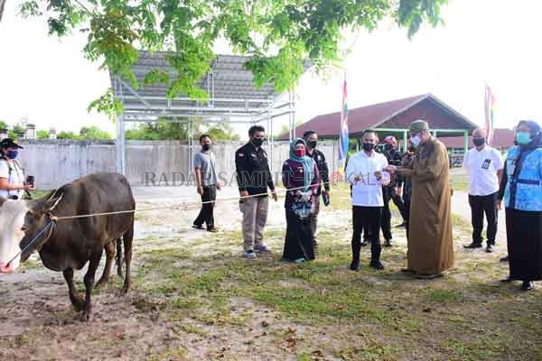 IBADAH: Walikota Palangka Raya Fairid Naparin,  ketika menyerahkan 13 ekor hewan kurban untuk masjid maupun musala, serta sejumlah organisasi masyarakat di Kota Palangka Raya.(IST HUMAS PEMKOT)