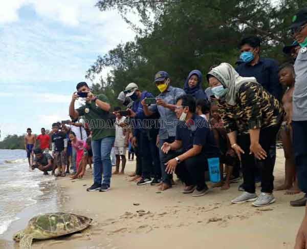 SATWA LANGKA: Bupati Kotawaringin Barat Hj Nurhidayah melepas anak penyu atau tukik di TWA Tanjung Keluang, Kecamatan Kumai, Kabupaten Kobar, Minggu (2/8).(SULISTYO/RADAR PANGKALAN BUN)