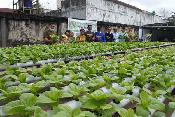 Petani Hidroponik Sampit (PHS) siap tampil dalam bazar yang digelar di halaman Radar Sampit, Minggu (9/8) pukul 06.00 WIB.