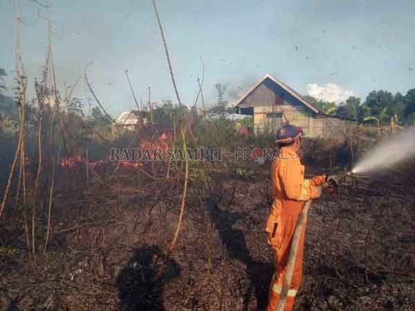 KEBAKARAN : Satpol PP dan Damkar Kobar saat berupaya memadamkan api kebakaran lahan perkebunan singkong di BTN Griya Riwut Permai, RT 21, Kelurahan Mendawai, Kecamatan Arut Selatan, Kamis (13/8), pukul 15.55 WIB.( SATPOL PP/RADAR PANGKALAN BUN)