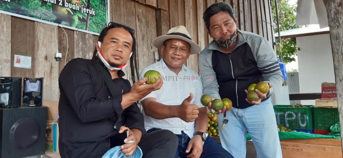 PETANI SUKSES : Wayan Supadno saat memperlihatkan komoditas jeruk dekopon varietas Chokun Thailand diperkebunan jeruk miliknya di Desa Kumpai Batu Atas, Kecamatan Arut Selatan, Kabupaten Kobar, Selasa (1/9). (ISTIMEWA/RADAR PANGKALAN BUN)