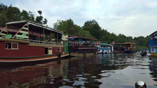 SUSUR SUNGAI : Aktivitas susur Sungai Sekonyer di kawasan TNTP sebelum masa pandemi Covid-19.(BORNEO HIJAU PERSADA/RADAR PANGKALAN BUN)