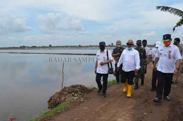 MENINJAU : Plt Gubernur Habib Ismail bin Yahya saat meninjau lokasi food estate di Pulang Pisau beberapa waktu lalu.(IST/RADARPALANGKA)