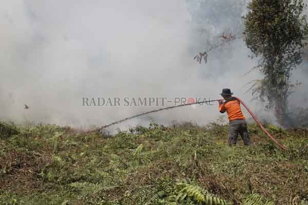 KARHUTLA : Petugas berupaya memadamkan api yang membakar lahan, beberapa waktu lalu.(Dok/RADAR SAMPIT)