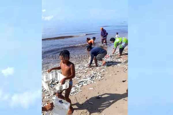 MELIMPAH: Warga mengumpulkan ikan hasil tangkapan nelayan yang melimpah di Pantai Ujung Pandaran, Kecamatan Teluk Sampit. (IST/RADAR SAMPIT )