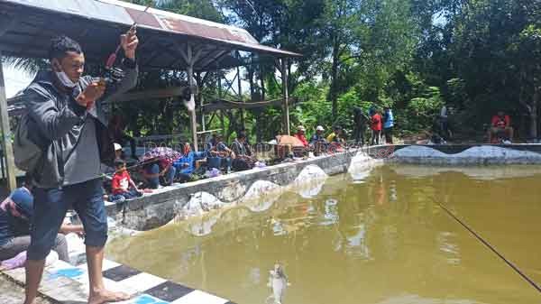 PESTA STRIKE : Lomba mancing yang diselenggarakan Radar Sampit Biro Lamandau dan Bank Kalteng  dipenuhi pesta strike. Itu terjadi pada peserta lomba lele maupun ikan mas, mereka tiada henti mengangkat joran yang melengkung tajam.