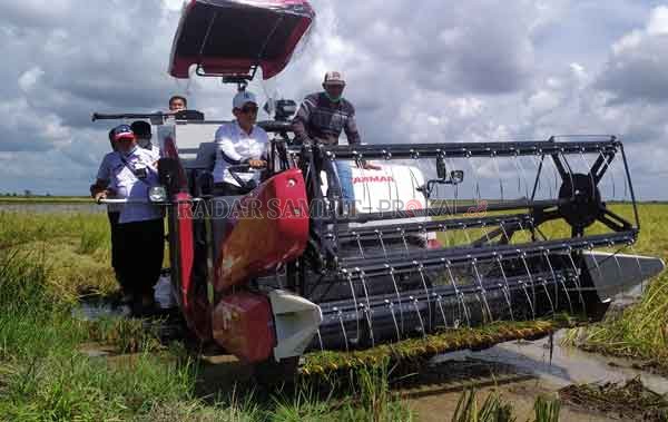 PANEN: Bupati Kotim Supian Hadi menguji coba mesin panen kombinasi yang diberikan kepada petani Desa Lempuyang, Kecamatan Teluk Sampit, Rabu (2/12).(USAY NOR RAHMAD/RADAR SAMPIT)