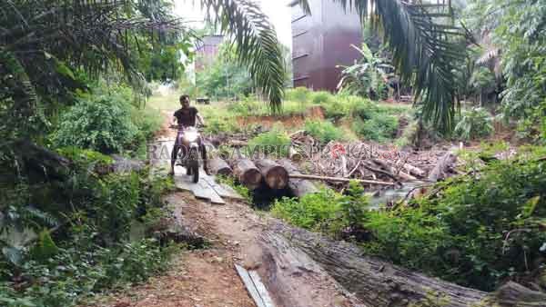 JEMBATAN: Kondisi jembatan yang diharapkan dapat dilakukan pembangunan lebih baik, sehingga mempermudah akses masyarakat, di Jembatan Kalang, Desa Tumbang Gagu, Kecamatan Antang Kalang.(DESIWULANDARI/RADARSAMPIT)