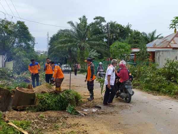 PELEBARAN JALAN: Belasan bangunan pasar burung dan pohon-pohon dibongkar serta ditebang oleh Dinas Lingkungan Hidup dan BPBD Kobar, Kamis (7/1).(   SULISTYO/RADAR PANGKALAN BUN)