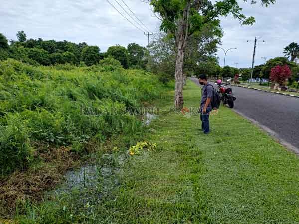 PENGAIRAN: Kondisi salah satu saluran drainase di Jalan Ahmad Yani Kuala Pembuang yang terlihat tidak terawat dan tertutup penuh oleh tumbuhan liar, Senin (18/1).(ALDISETIAWAN/RADARSAMPIT)